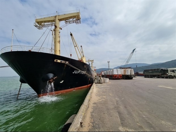 New-generation FTAs have good effects on Binh Dinh's exports