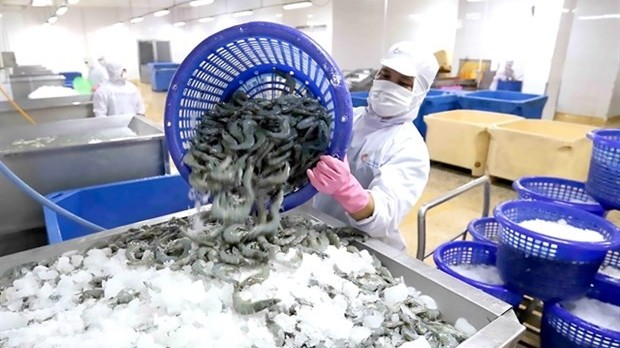 Ca Mau facilitates seafood exports to UK