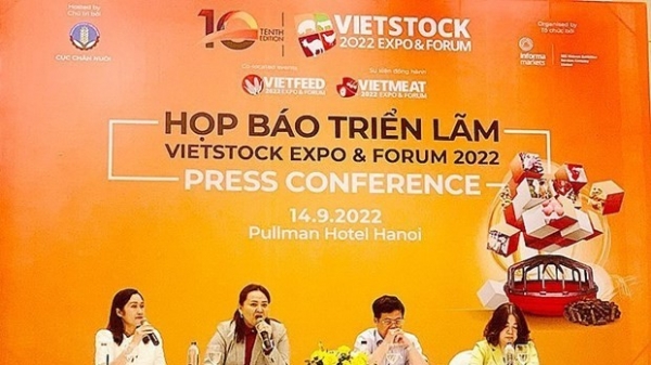 Vietstock Expo & Forum 2022 to be held from October 12-14