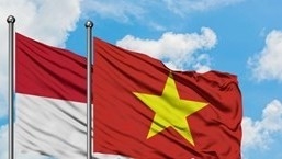 Large potential for Vietnam-Indonesia trade, investment: workshop