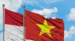 Huge potential for Vietnam-Indonesia trade, investment: workshop