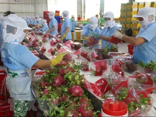 Vietnamese fruits successfully enter challenging markets