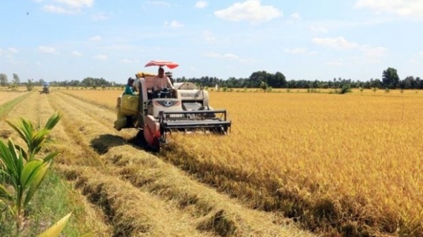 UKVFTA helps to promote agricultural trade exchanges with UK