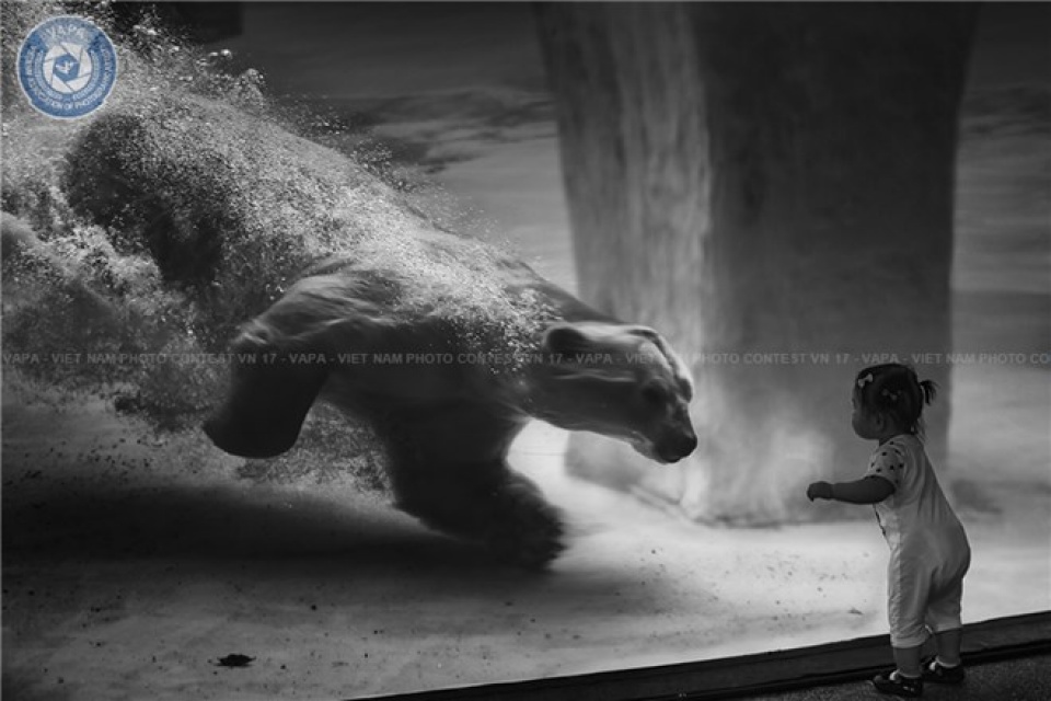 latvian photographer wins five prizes in vietnam