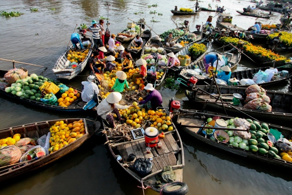 ha noi cultural week features cai rang floating market