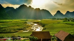 exhibition highlights ao impacts on environment human health