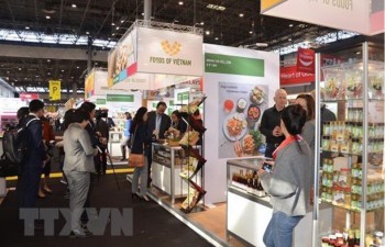 Vietnam’s food industry seeks cooperation opportunities in Europe