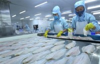 tra fish exports to malaysia see strong surge