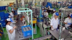 vietnam to include informal economic sector into gdp calculation by 2020
