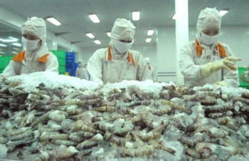 Demand for Vietnamese seafood on the rise
