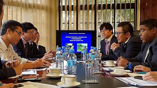 vietnamese japanese firms partner to support mozambiques development