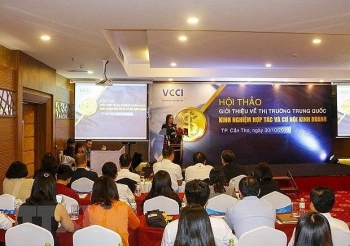 Abundant chances remain in Chinese market for Vietnamese exporters