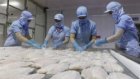 Fisheries export slump eases in September, signs of recovery seen