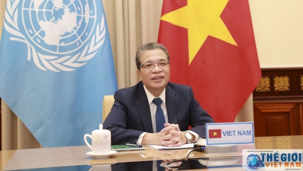 Vietnam backs facilitation of dialogue, cooperation in Persian Gulf: Deputy Foreign Minister Dang Minh Khoi
