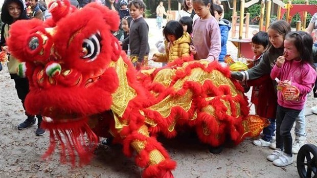 Vietnam Family Day in Belgium held