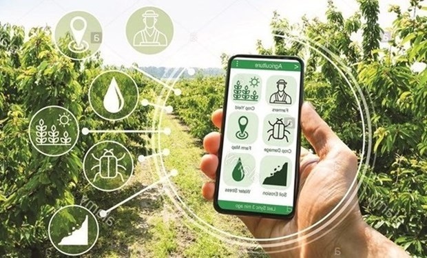 Science, technology key factor in building new-style rural areas Science, technology key factor in building new-style rural areas