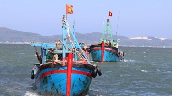 Binh Thuan continues efforts to fight IUU fishing