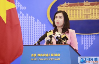 Vietnam denies returning Trinh Xuan Thanh to Germany: FM Spokesperson