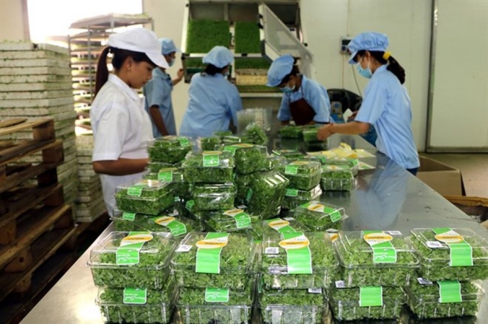 agriculture sector targets 3 pct annual growth by 2020