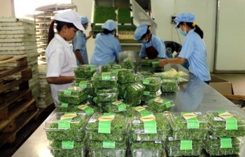Agriculture sector targets 3 pct annual growth by 2020