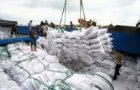 vinacas recommends cashew enterprises to trade carefully to avoid potential losses
