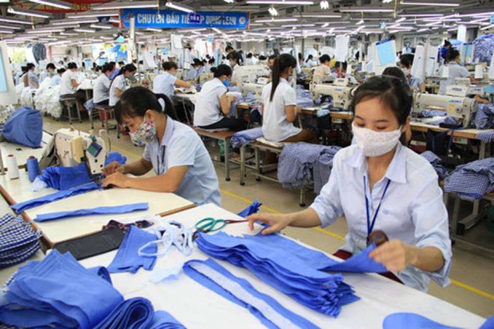 fdi firms expand in vietnams textile and garment industry