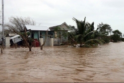 Viet Nam should take urgent action in face of natural disasters: WB