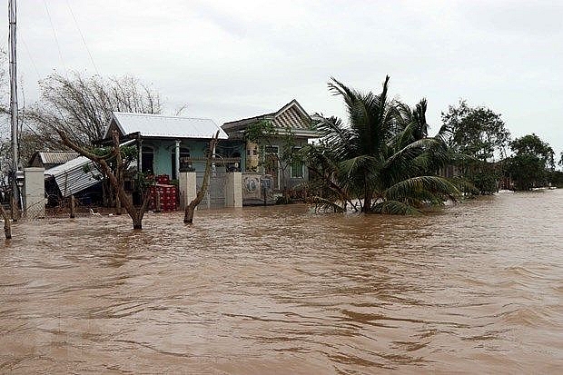 Vietnam should take urgent action in face of natural disasters: WB