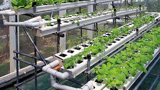 Vietnam promoting hi-tech farming