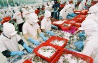 gdp growth in 2019 likely to reach 7 percent