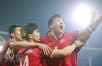 rok president congratulates vietnam for triumph at aff suzuki cup