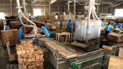 Wood exports to hit 12.5 billion USD in 2020