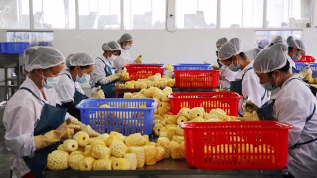 Vietnamese products account for just 5% of China’s agriculture imports