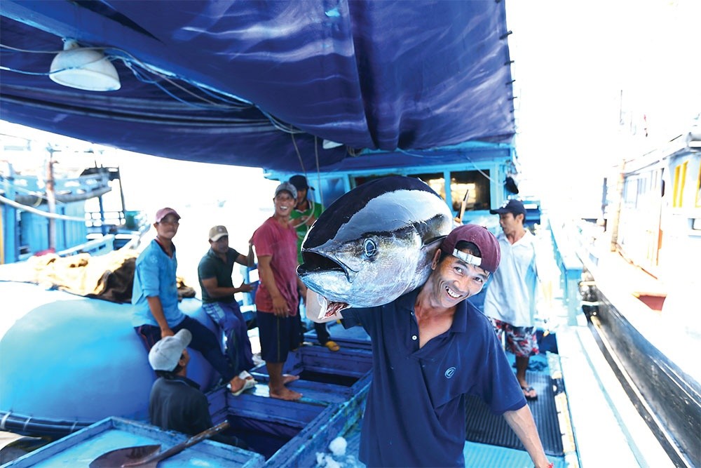 The European Commission will be looking for updates on the professionalism of Vietnam’s fishing sector. Photo: Duc Thanh