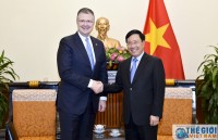 deputy pm fm minh meets with german officials