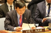 Vietnam calls for compliance to resolutions on Middle East issue