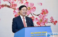 vietnam to continue improving external work in 2019