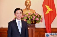 vietnam withdraws run for unesco director general position