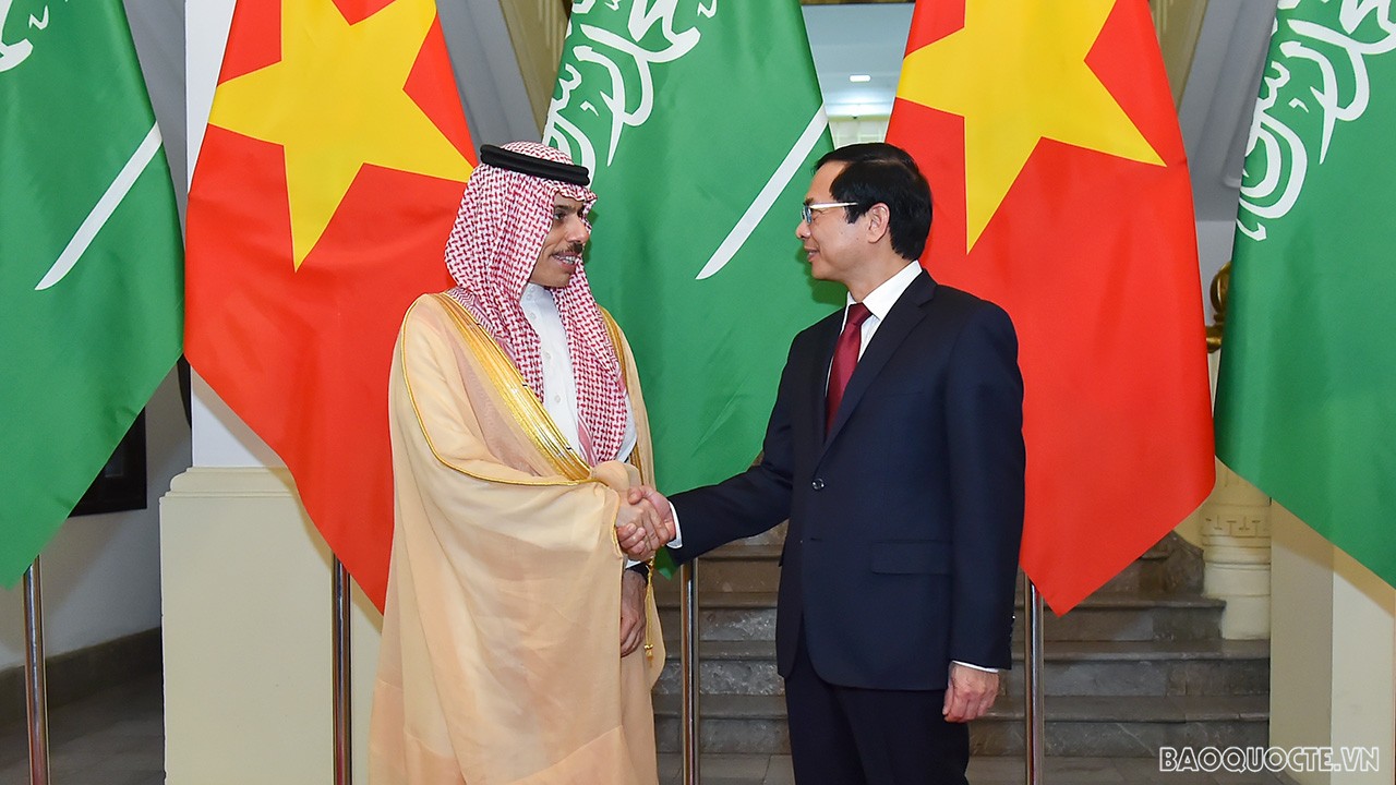 Foreign Minister Bui Thanh Son holds talks with Saudi Arabian ...