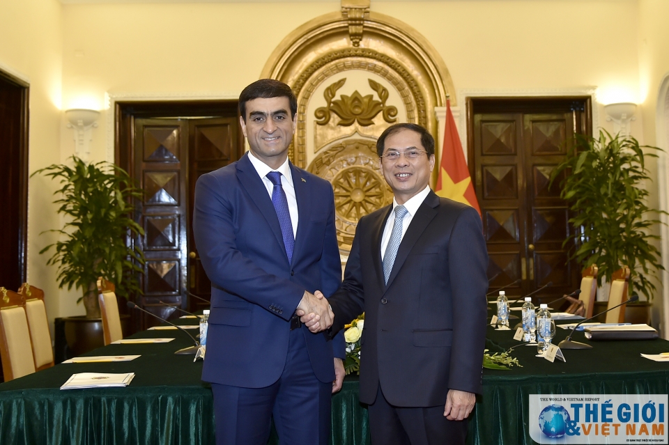 vietnamese turkmen foreign ministries hold political consultation