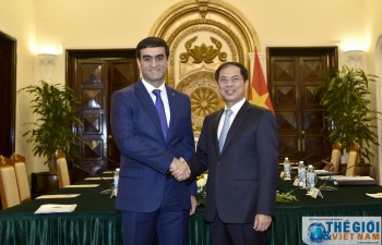 Vietnamese, Turkmen foreign ministries hold political consultation