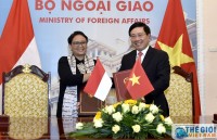indonesian presidents vietnam visit expected to boost ties