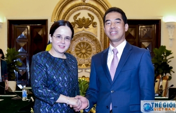 Vietnam, Romania hold political consultation in Hanoi