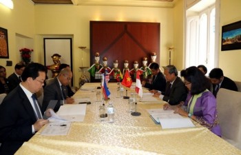 Vietnamese ambassador chairs ASEAN Committee in Rome’s meeting