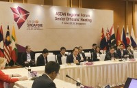 vietnam actively realizes asean commitments