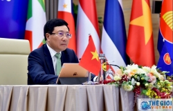 Japan, Vietnam to co-chair 13th Mekong - Japan Ministerial Meeting