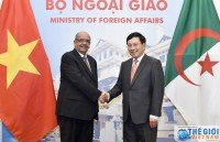 algeria vietnam friendship parliamentarians group launched