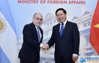 vietnamese deputy pm meets with top diplomats of japan iran