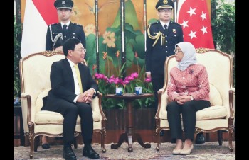 Deputy PM Pham Binh Minh meets Singaporean leaders