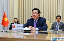 Vietnam seriously implements climate change-related commitments: Deputy PM